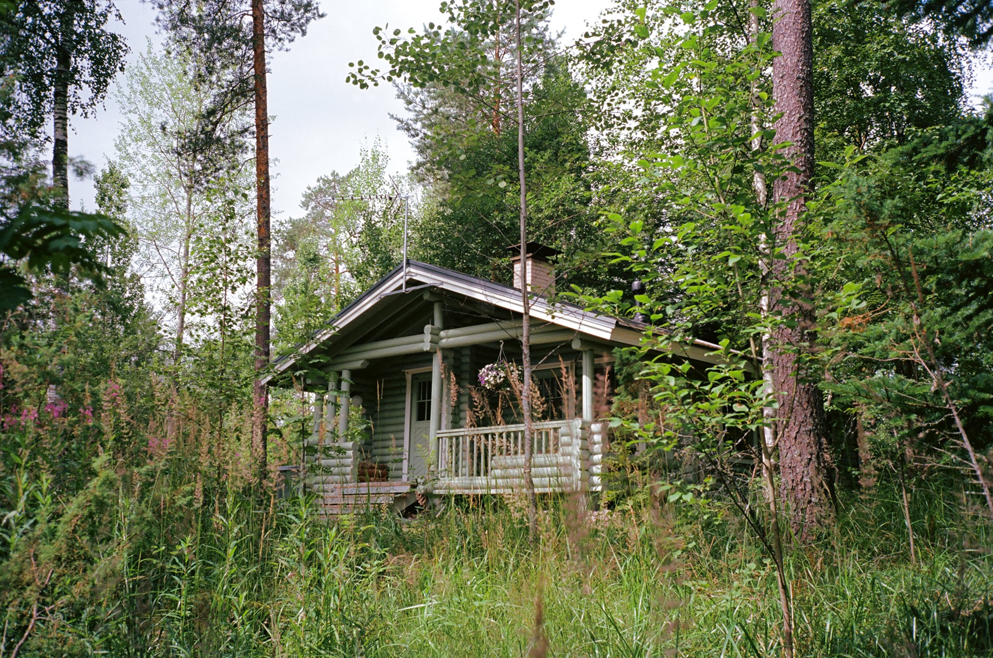 Cabins with Sauna at Fish & Fun